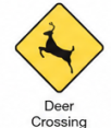 Deer Crossing Ahead